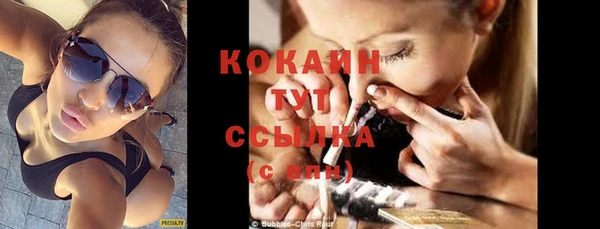 сатива Абаза