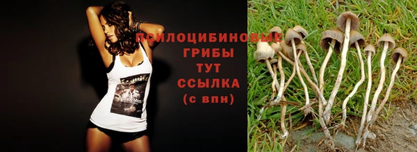 тгк Абинск