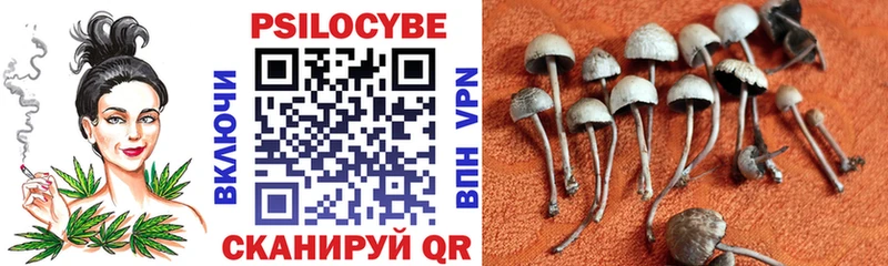Галлюциногенные грибы ЛСД Бирюсинск